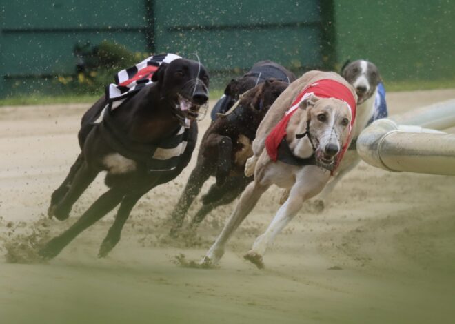 Explorando os Segredos da Pista de Crayford de 380 Metros para Galgos