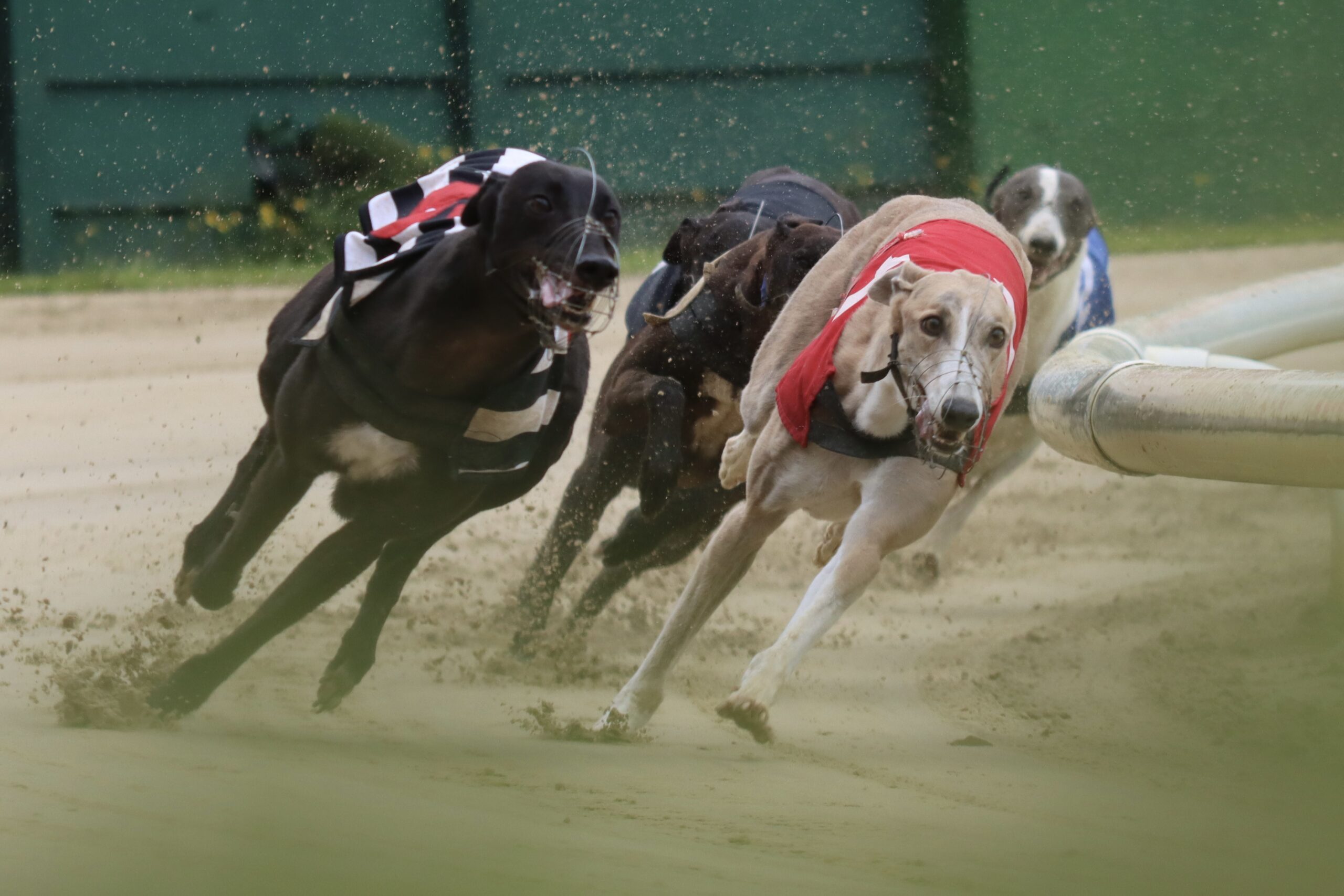 Explorando os Segredos da Pista de Crayford de 380 Metros para Galgos