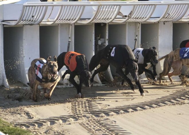 A Importância do Controle Emocional ao Apostar em Corridas de Galgos