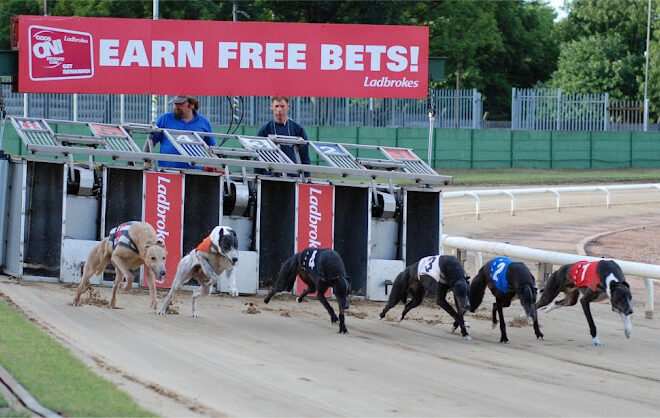 Monmore: Explorando as Possibilidades de Cada Trap em corridas de galgos