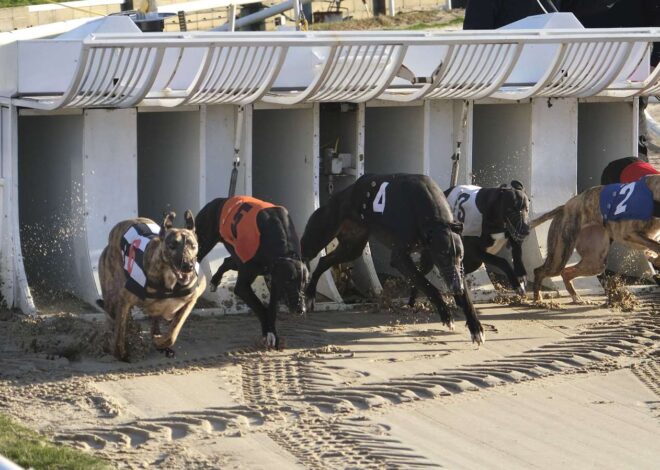 SuffolkDowns: Explorando as Possibilidades de Cada Trap