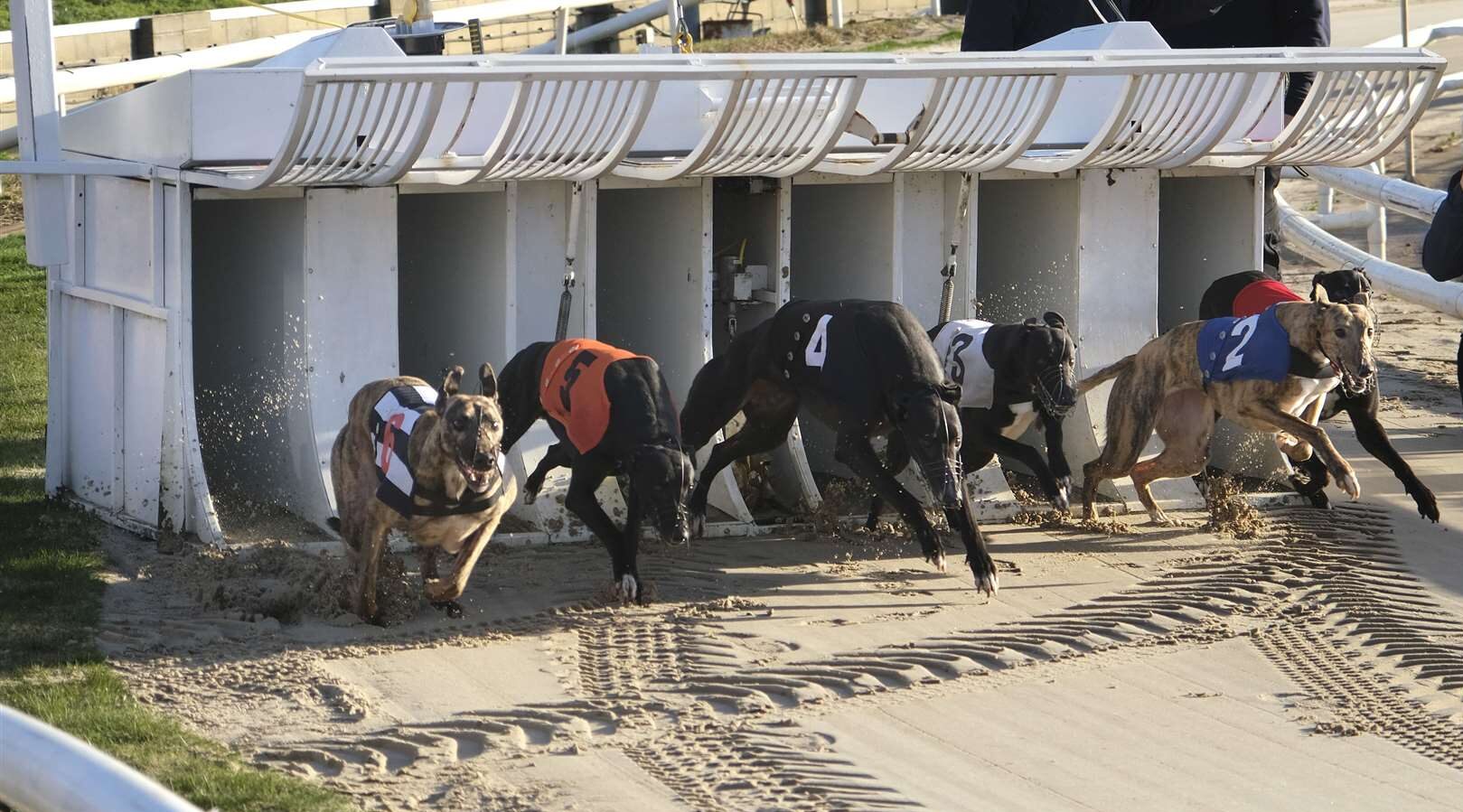 SuffolkDowns: Explorando as Possibilidades de Cada Trap