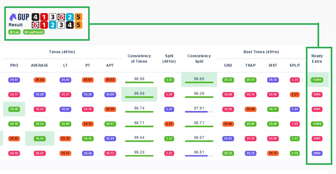 Unlocking Greyhound’s Hidden Potential: Extra Points in GUP Greyhound